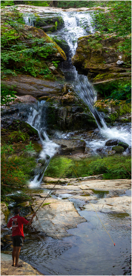 Fishing At The Falls